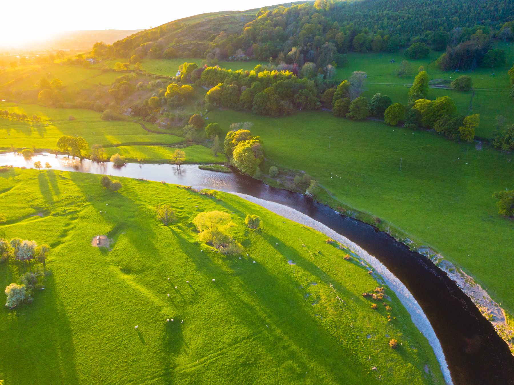A river winding between grazed fields, seen from the air